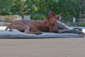 Erster Tag in unserem Garten