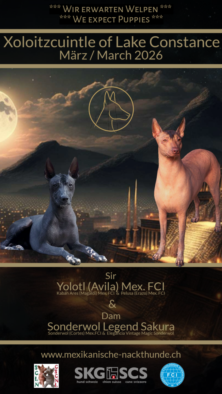 Wurfankündigung D-Wurf